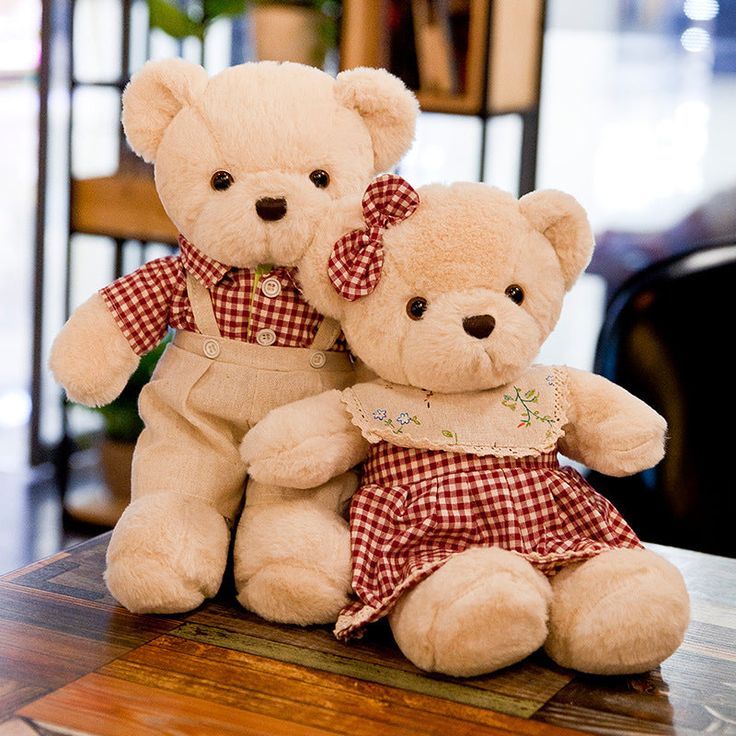 Plush Teddy Bear 40cm
